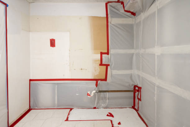 Best Emergency Mold Remediation  in Basalt, CO