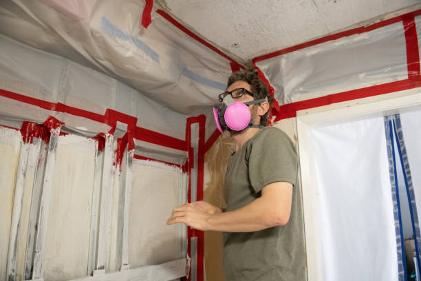 Best Industrial Mold Remediation  in Basalt, CO