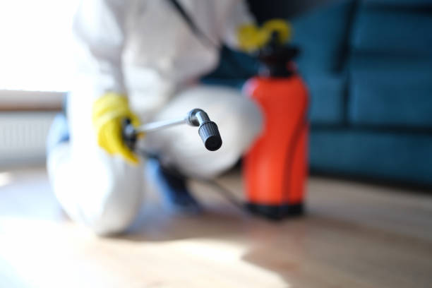 Best Indoor Air Quality Assessment  in Basalt, CO