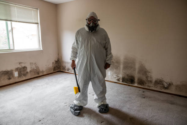 Best Residential Mold Inspection & Testing  in Basalt, CO