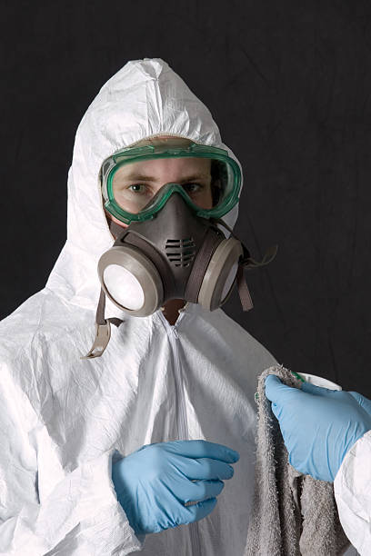 Best Basement Mold Removal  in Basalt, CO